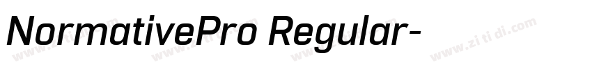 NormativePro Regular字体转换